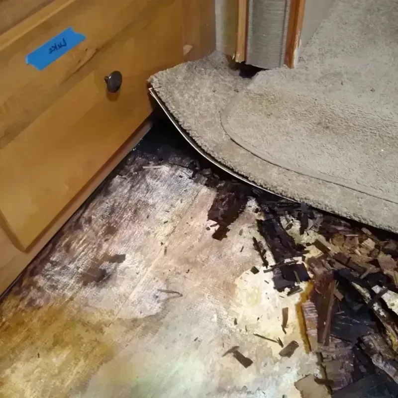 Wood Floor Water Damage in Greenwood, DE